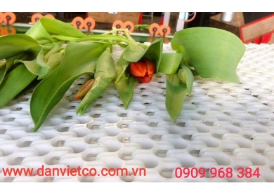Ghé ngay đơn vị bán băng tải chuyền chính hãng, đa dạng chủng loại