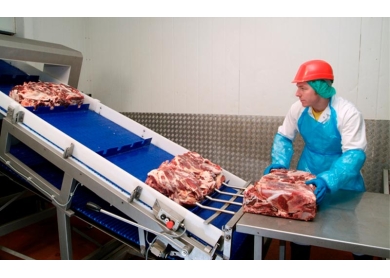 Bí quyết lựa chọn băng tải phù hợp cho từng loại sản phẩm