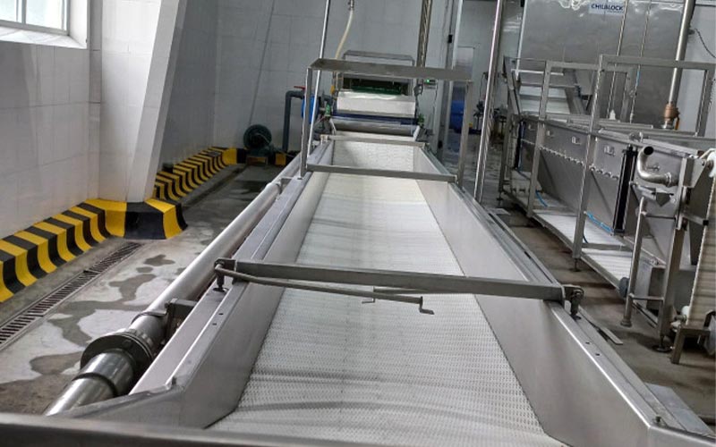 mua băng tải đồ hộp